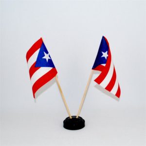 4" x 6" Puerto Rico Flag