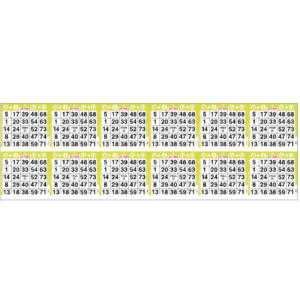 12on Horizontal Bingo Paper - Case