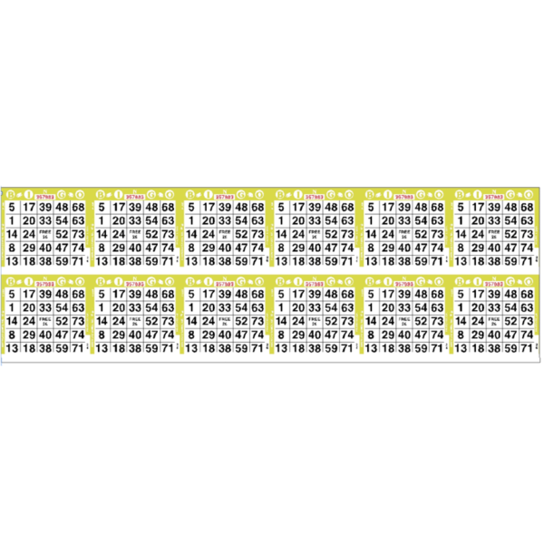 12on Horizontal Bingo Paper - Case