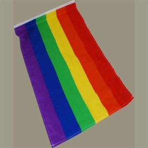 Rainbow 3' x 5' Flag